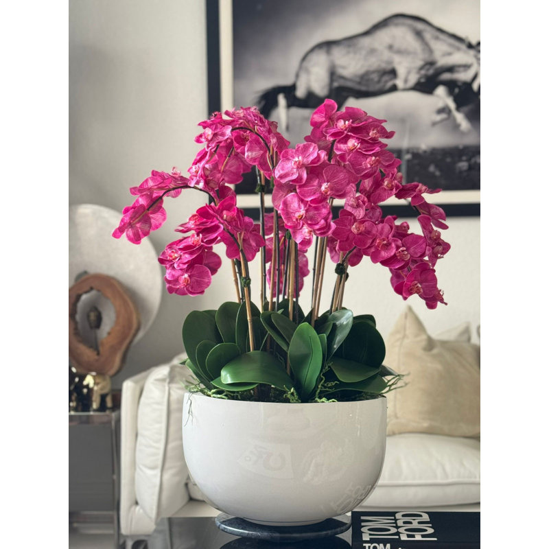 White Orchids In Glossy Fiberglass Bowl, Pink Fucsia