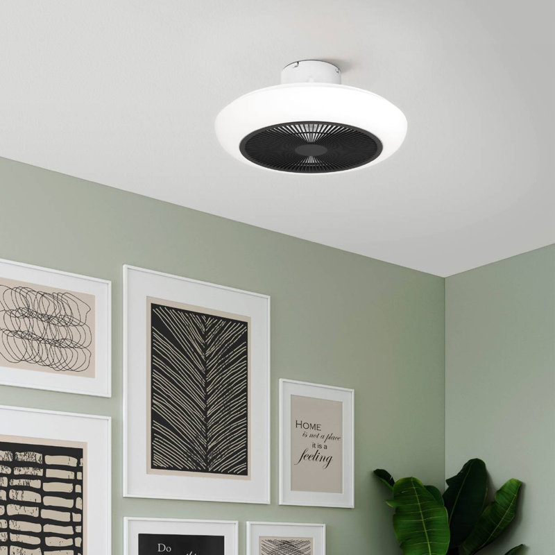 Antiope Ceiling Fan with Light Kit, Black