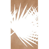 Botanical Silhouette II Print