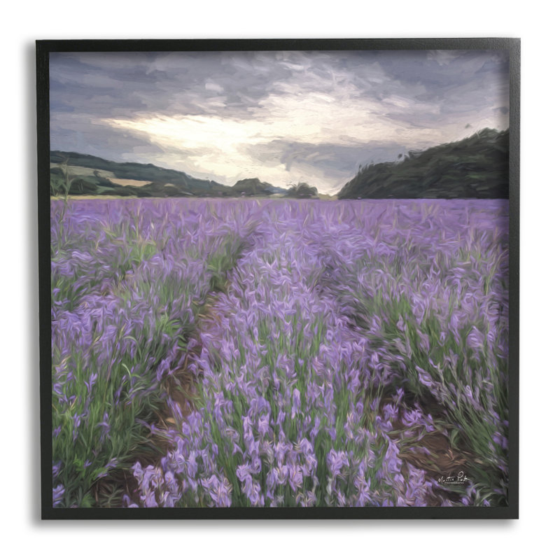 Lavender Fields Sunlit Clouds par Sally Swatland - photographie, Giclée encadrée noir minuit, H 12 po x l 12 po x P 1,5 po