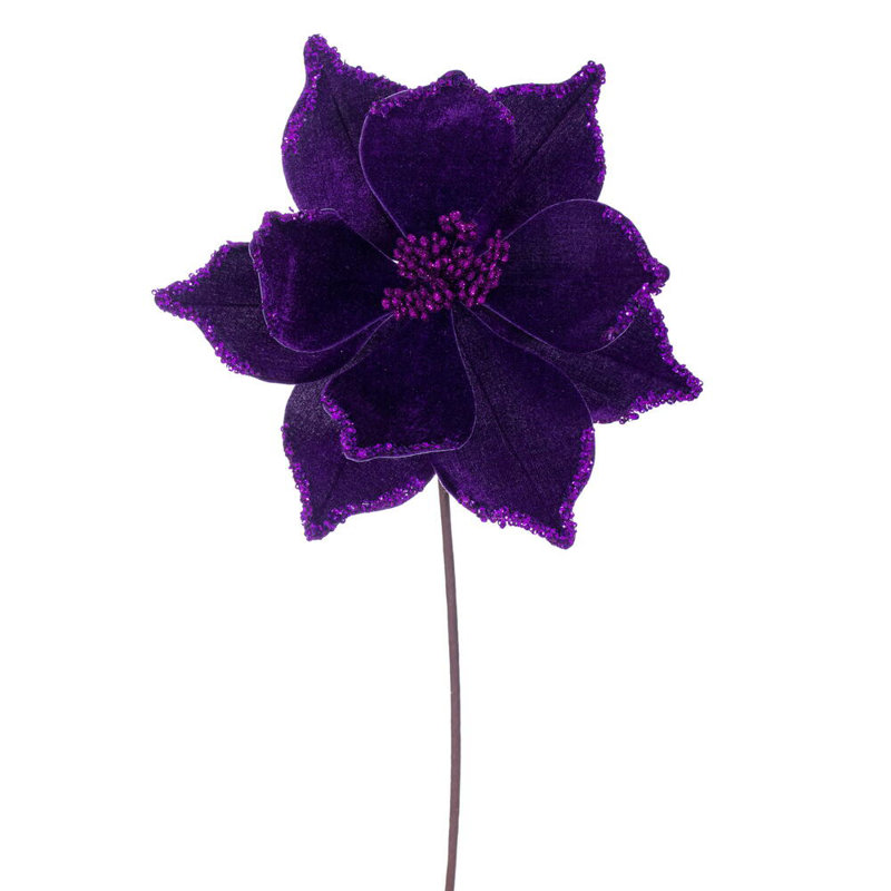Tiges de poinsettias Cochrane, Prune