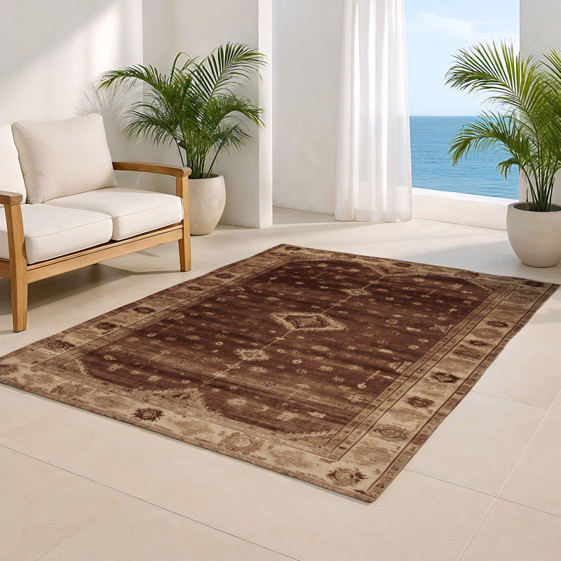 Tapis intérieur et extérieur brun Overdyed, Rectangle 4pi x 6 pi