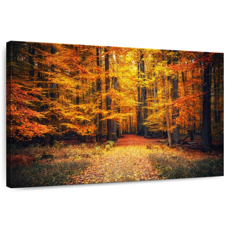 Alvord Park Trail en automne, H 20 po x l 30 po
