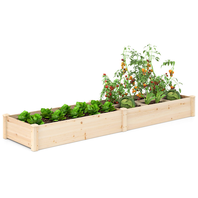 Wooden Raised Garden Bed w/ 2 Planter Boxes Divider Open-Ended Base for Flower