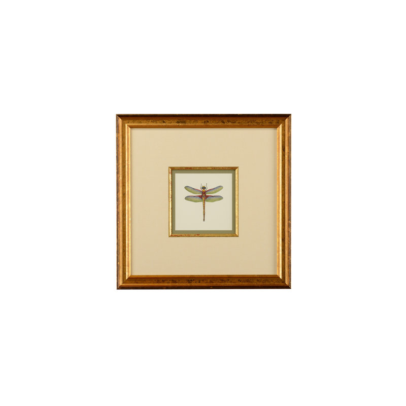 Miniature Dragonfly IV Print