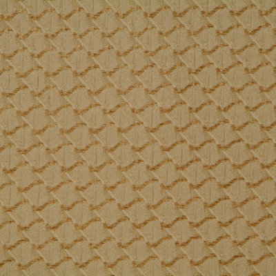 Allure Fabric