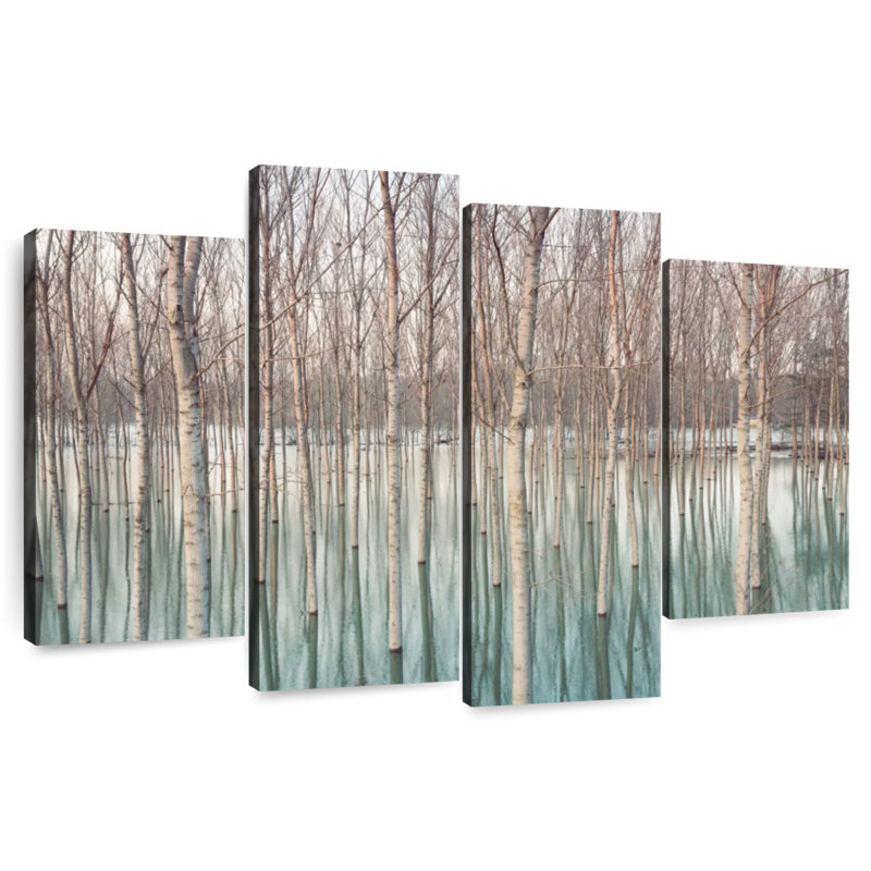 Forêt de bouleaux Alvord, H 22 po x l 36 po