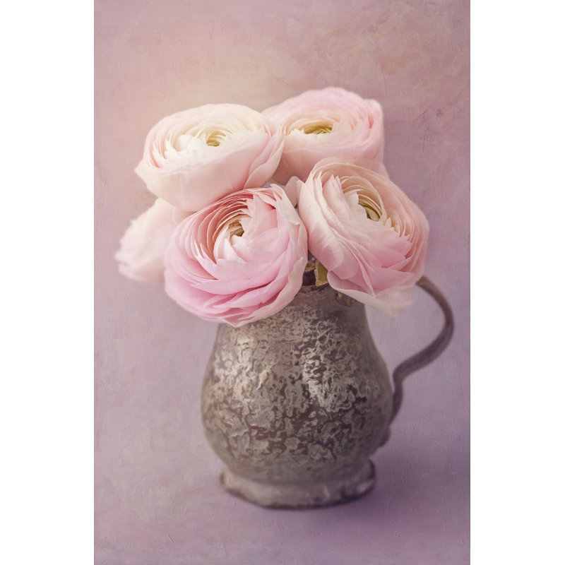 Pink Ranunculus - Photographie sur toile tendue, H 12 po x l 8 po