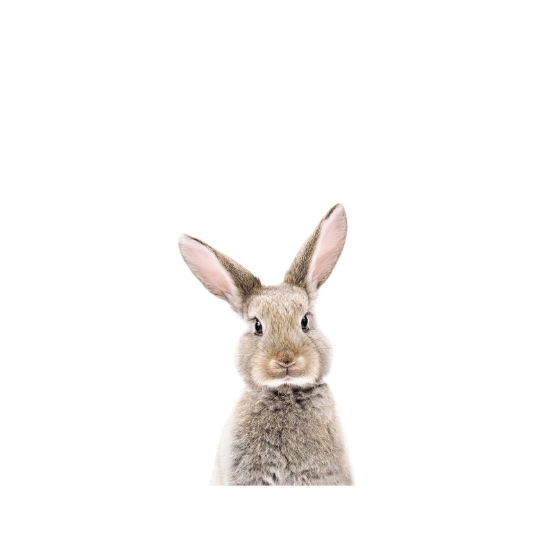 Baby Bunny - Wrapped Canvas Print, 101.6 cm H x 66.04 cm W x 3.175 cm D