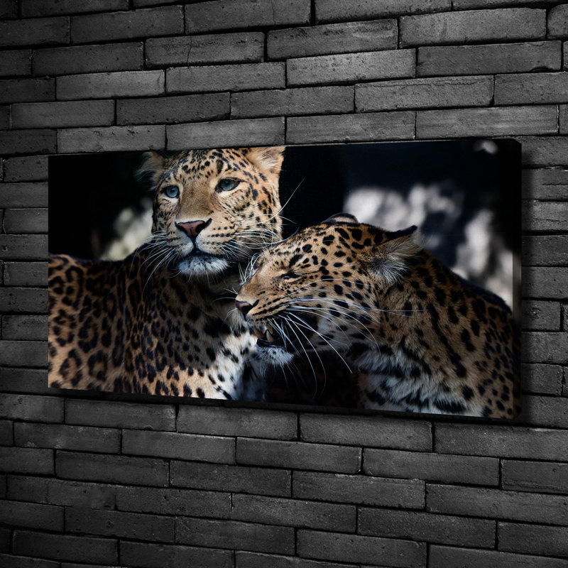 Two Leopards - No Frame Print on Glass, Canvas, 50cm H x 100cm W x 2cm D