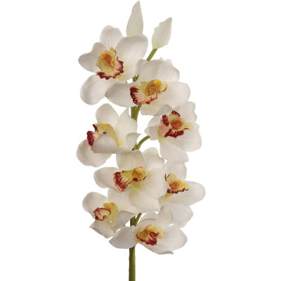30" Tall Cymbidium Stem with 10 Flowers