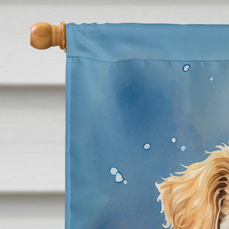 Drapeau «Happy Birthday House», Maltipoo