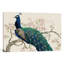 «Peacock & Blossoms II», reproduction d'art sur toile tendue-20814839-72689228-72689234