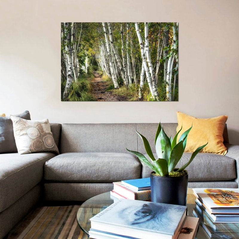«A Walk Through the Birch Trees» par Danny Head - impression d'art graphique, H 8 po x l 12 po x P 0,75 po, Pas de tapis