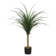 The Seasonal Aisle Faux Dracaena Tree | Wayfair.co.uk