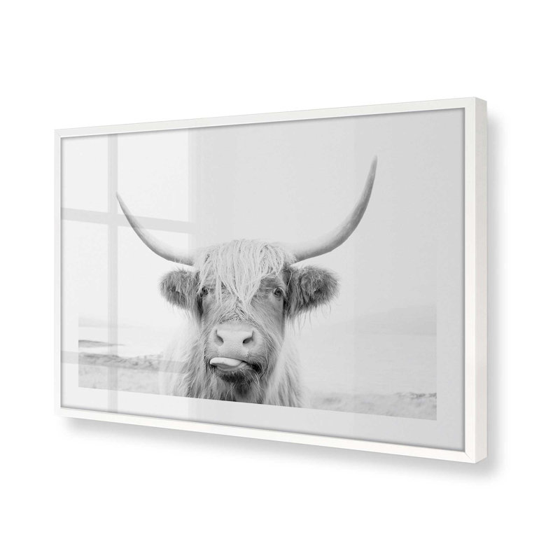 Imprimé de vache Highland ludique, H 9 po x l 11 po x P 1,25 po, Cadre opaque blanc