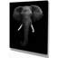 «Portrait d'un éléphant d'Afrique en noir et blanc, photographie d'art mural éléphant-29548077