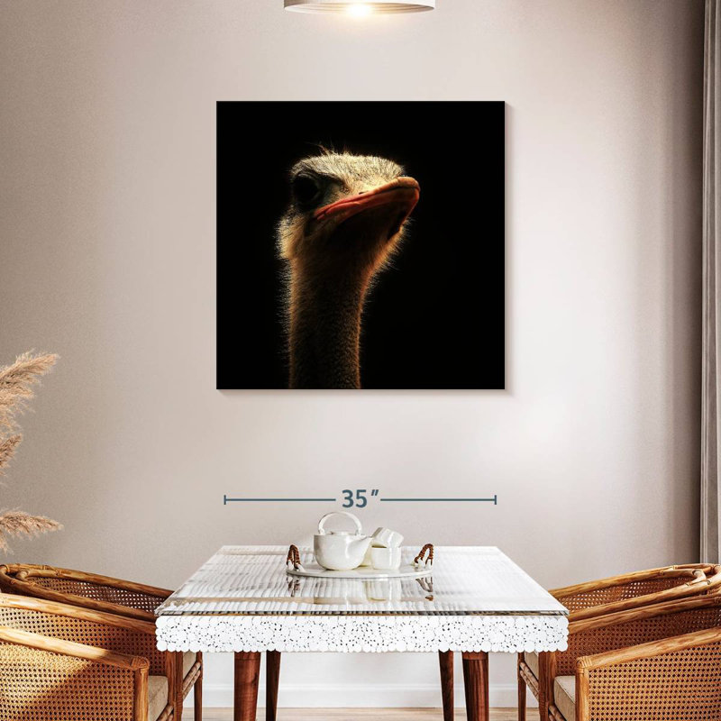 Crowle Gallant Ostrich, 36" H x 36" W