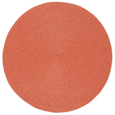 Braided Hand Woven Performance Rug