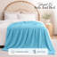 Couverture polaire en fausse fourrure de vison de luxe - Doux et moelleux réversible-125539725-125539732