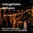 Outdoor Patio 24-Bulb LED String Lights - 48ft