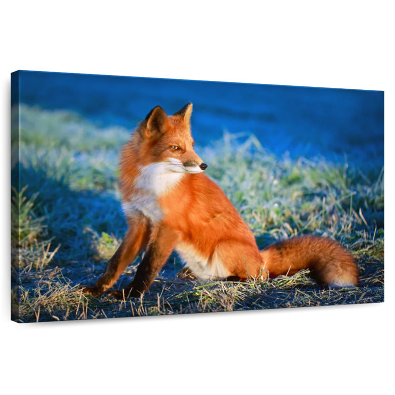 Brampt Regal Red Fox, 32" H x 48" W