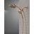 6-Setting PivotPro 3-in-1 Combination Shower Head with High Pressure ProClean Spray Brushed Gold-116423690