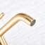 Lillet Brass Mono Basin Mixer