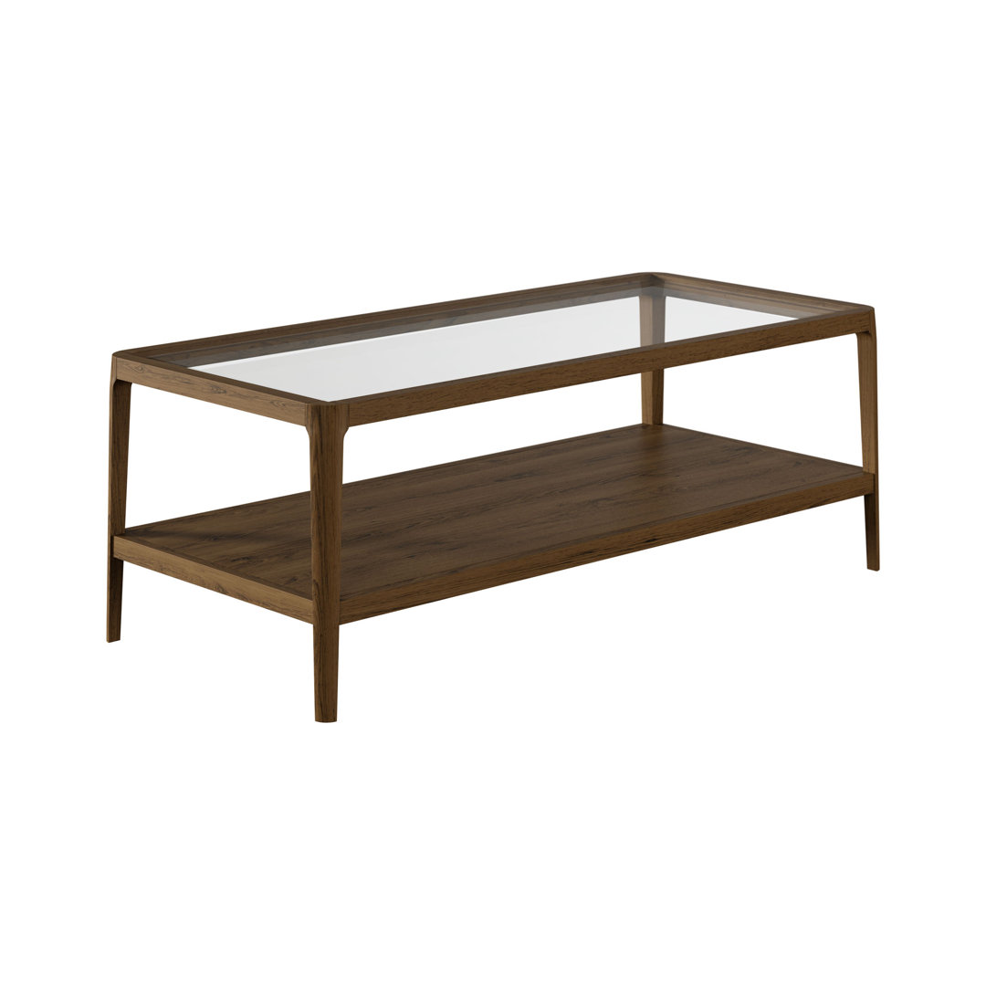 Kucik Coffee Table with Storage