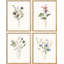 «Minimal Botanical» IDÉE4WALL, art mural encadré de fleurs sauvages encadrées, ensemble de 4 impressions florales botaniques, décor de nature sauvage pour le salon, impression encadrée de chambre à coucher, 4 pièces-90162087-90162090
