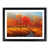 Black Framed selected