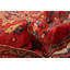 Tapis rouge Sarabi 8 pi 6 po x 10 pi 11 po