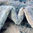 Abstract Indoor Rug-878023656