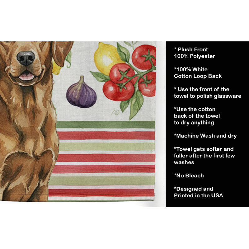 Torchon Chesapeake Bay Retriever, Chesapeake Bay Retriever