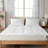 Livia 2'' Mattress Topper-31886380