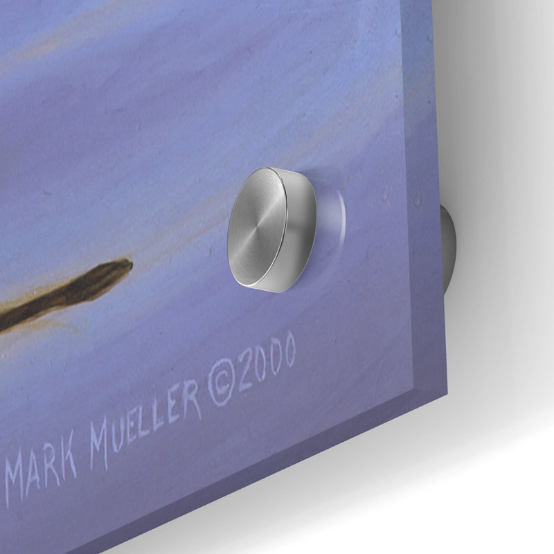 «Lone Pintail» par Mark Mueller, art animalier, H 24 po x l 36 po x P 0,2 po