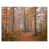 Toile tendue