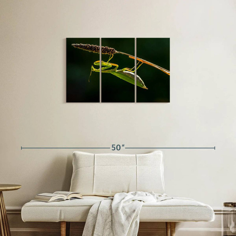 Hanging Praying Mantis, 20" H x 33" W