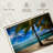 Gillard Exotic Gillard Palm Trees-107704526