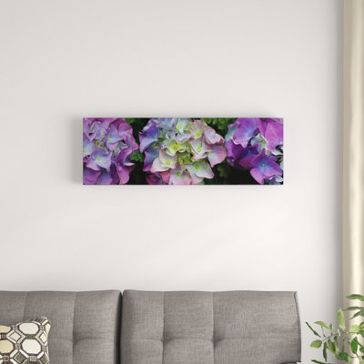 «Close-Up of Hydrangea Flowers II», reproduction de photo sur toile