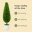 90cm Plant