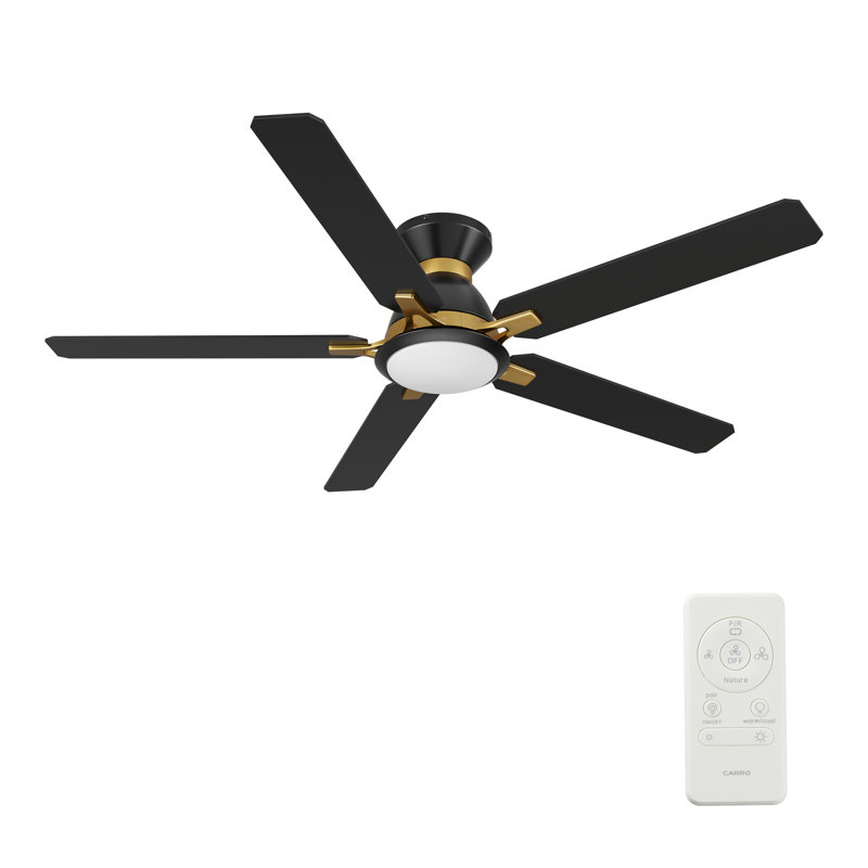 60'' Ceiling Fan with LED Lights