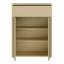 Rylon Shoe Storage Cabinet-127668822
