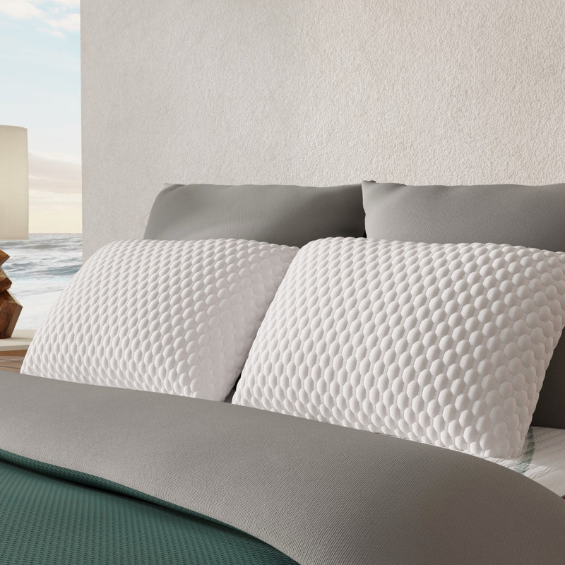 Oreiller ajustable en mousse viscoélastique infusée Zencloud, Très grand