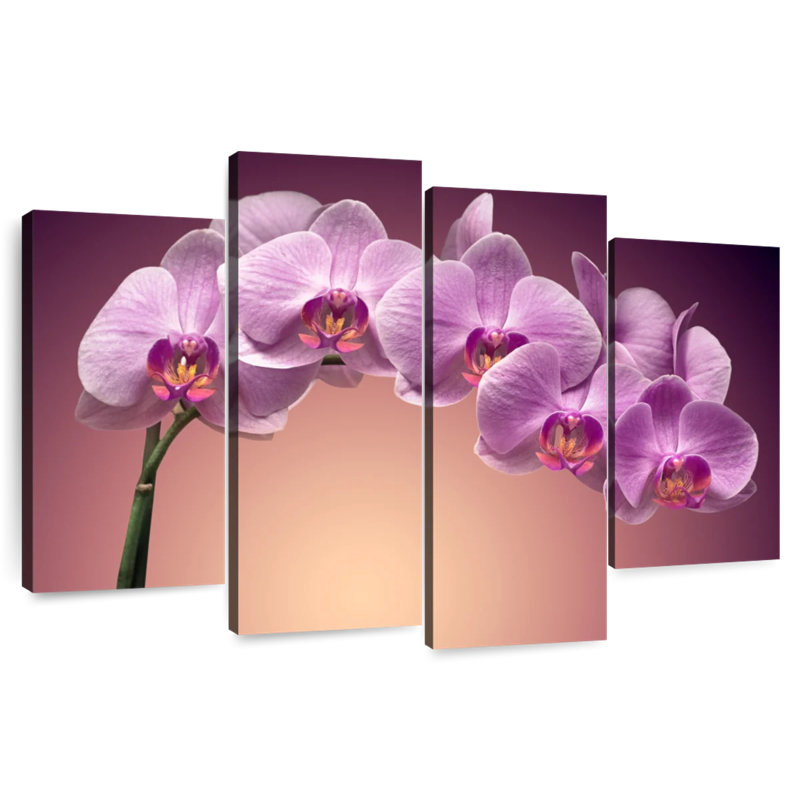 Harnek Magenta Orchids