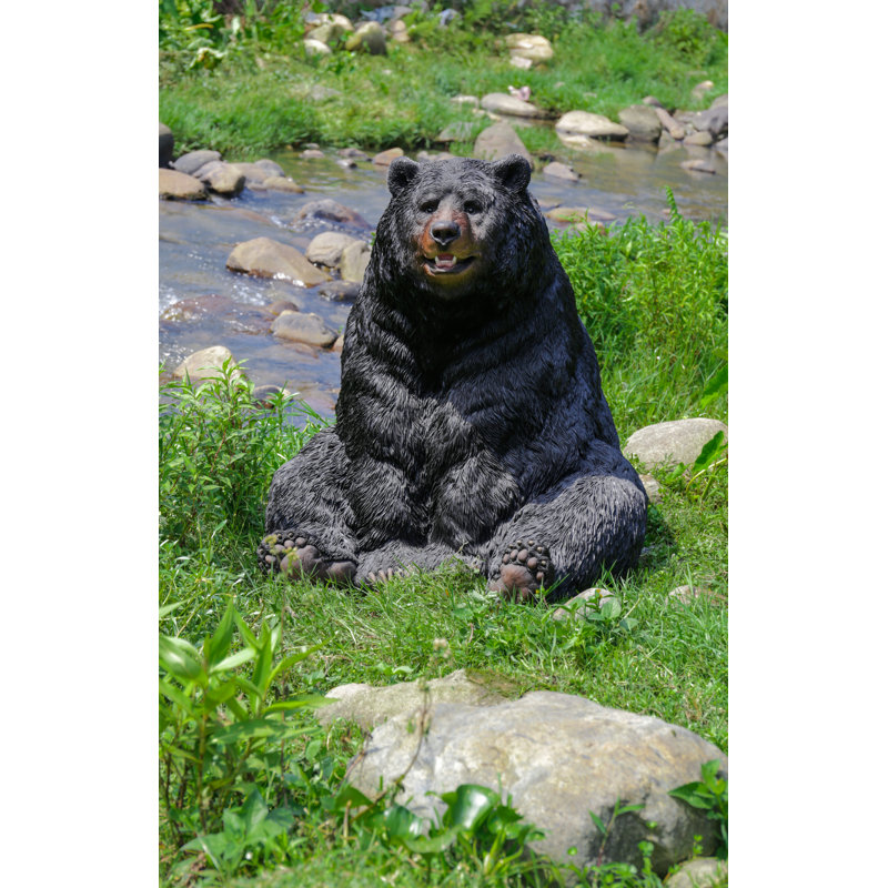 Black Bear Sitting