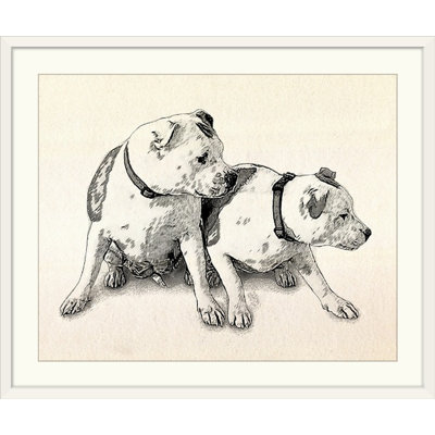«Two Bull Terriers» par Aniesha, impression