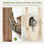 Tour pour chat S82d Big Cat-13873781