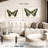 Brampt Natures Butterfly VI-108080375