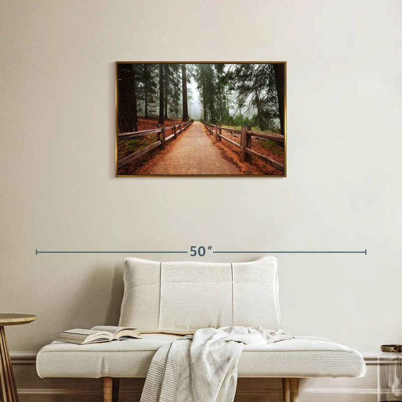 Séquoias du parc Sequoia, Cadre flottant doré, 31 po x 21 po